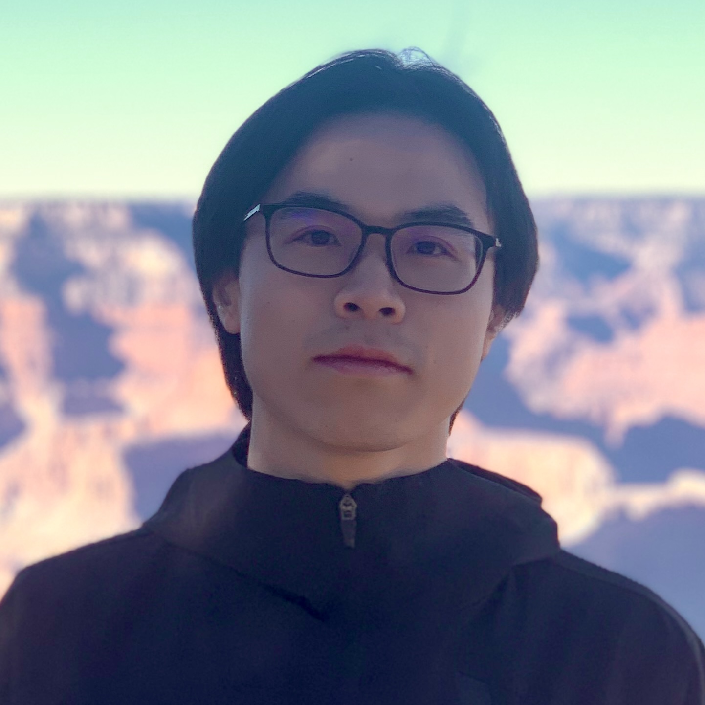 Shiye Lei